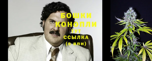 стаф Медногорск