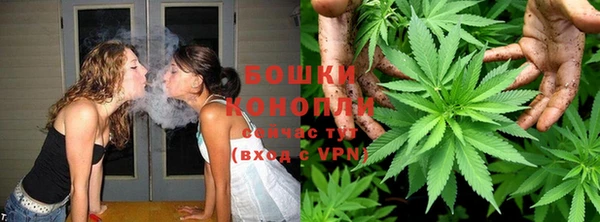 крисы Мегион