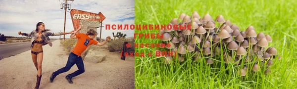 кокаин Алексеевка