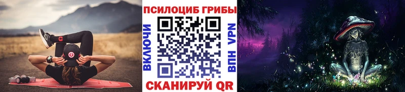 купить наркоту Кочубеевское Псилоцибиновые грибы Psilocybe